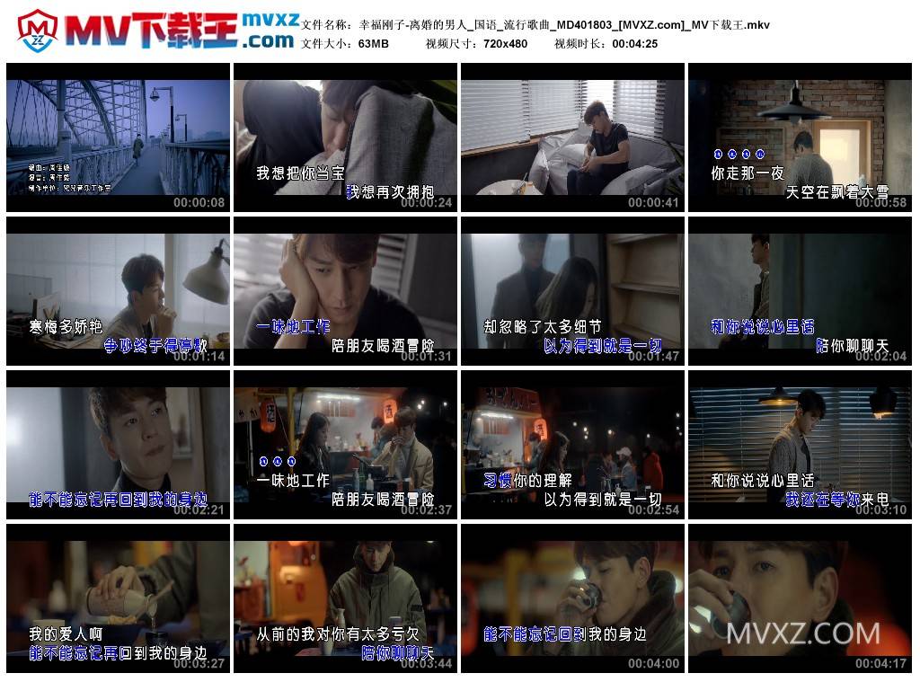 幸福刚子-离婚的男人_国语_流行歌曲_MD401803